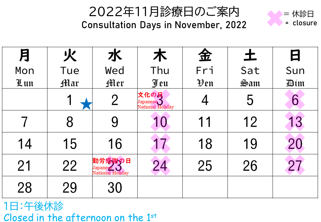 calendar November, 2022